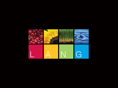 Lang Naturals Identity