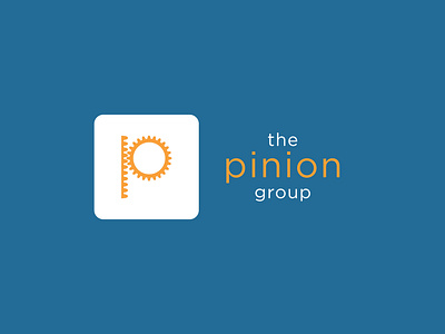 The Pinion Group