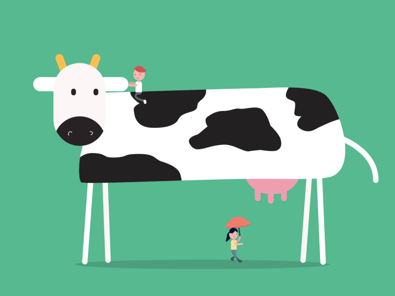 dairy cattle by Damon_Yuen on Dribbble