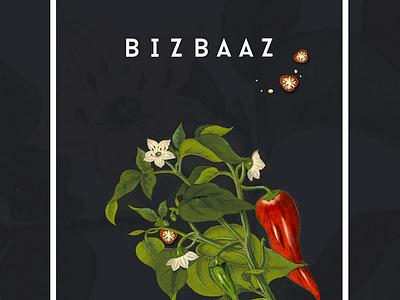 Bizbaaz - Branding and Packaging Design