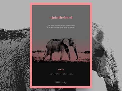 #jointheherd concept elephant jointheheard poster