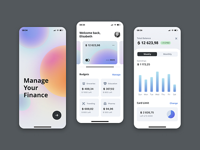 Managing Finance App app consept banking budget card limit finance graphic design ios mobile product design ui ui design ux ux design
