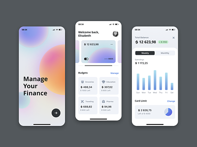 Managing Finance App