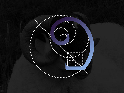 Carneiro in Golden Ratio fibonacci goldenratio horn logo logotype process sheep