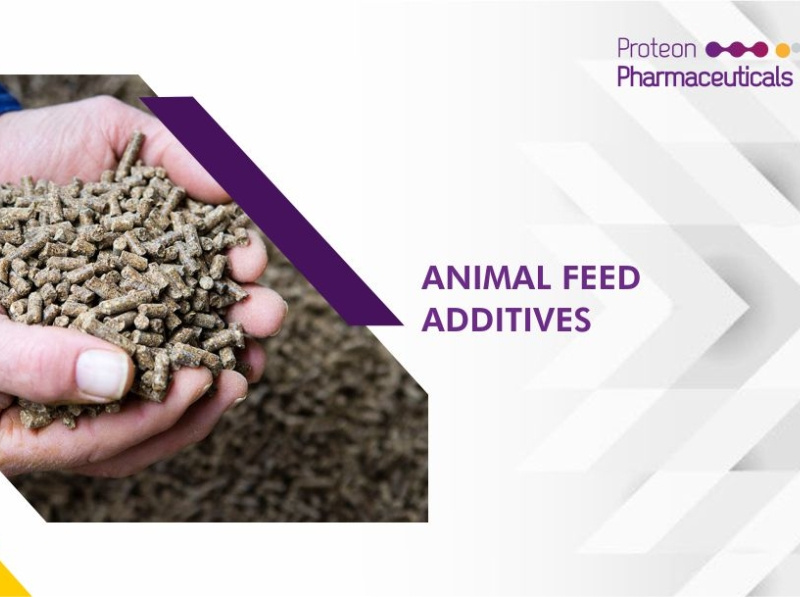 Buy Feed Additives That Are Impactful For Your Animals by Proteon
