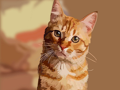 Vector Cat Illustration cat design graphic design illustration illustrator vector vectorillustration