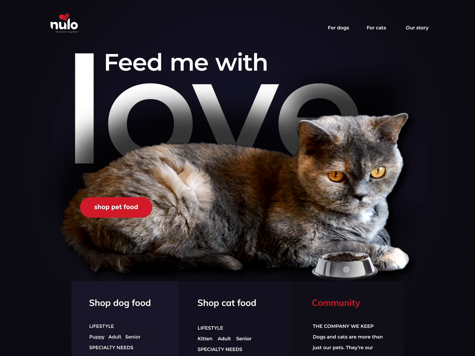 dog food websites