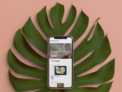„Floramore“ mobile portalo dizainas alius branding cechas design floramore levinskas ui uiux web