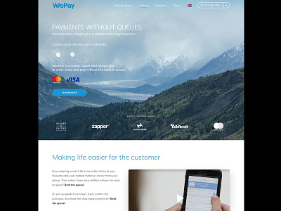 Wiopay home page alius cechas design levinskas ui uiux