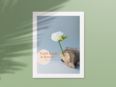 Earth laughs in flowers art direction branding communityovercompetition corporate design design dribbble earthday2022 graphic design logo photography rebound vector