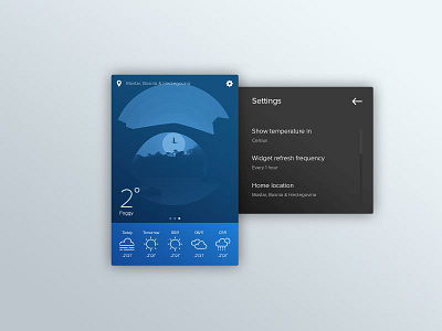 Settings Widget