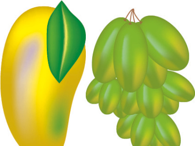 Learn How To Make Mango And Grapes using MESH TOOL in ILLUSTRATO animation graphic design illustration logo meshtool