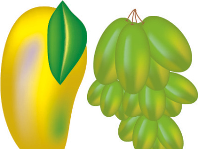 Learn How To Make Mango And Grapes using MESH TOOL in ILLUSTRATO