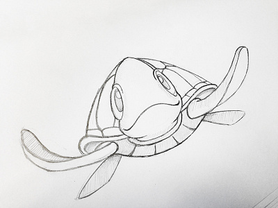 Sea turtle character character illustration sea turtle sketch turtle