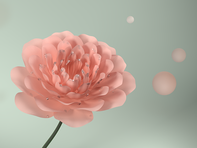 Flower (c4d)