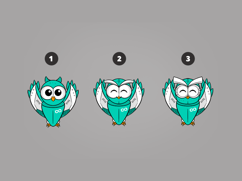 CodeAll Bot Character animation app character design design illustration owl vector