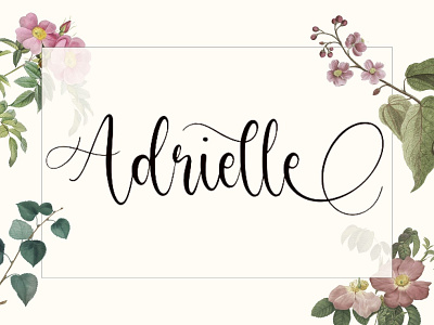 Adrielle Font adrielle font beautiful font black font cute font display font elegant font family font fancy font fashion font font graphic design handwritten fonts logo fonts logotype fonts modern font premium font romantic font script font stylish font valentine font