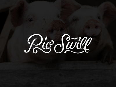 Pig Swill brush calligraphy crayligraphy drawn hand lettering pen pig swill type typography