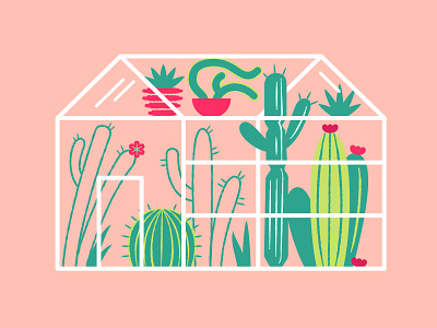 Cactus Garden cacti cactus desert digital flowers garden greenhouse house illustration palm springs plants terrarium vector
