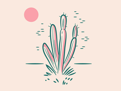 Cactus cacti cactus desert digital illustration nature palm springs plants vector western
