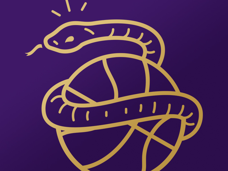 Mamba Day by Tim Eggert on Dribbble