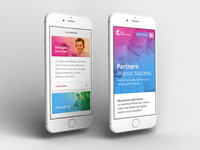 WIP: Connection Homepage Styles