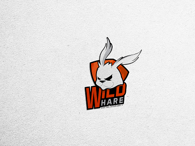 Wild Hare Racing Rabbit 3d logo best branding design ecommerce graphic design icon illustration logo logo design mascot rabbit social media typography ui ui design ux vector wild