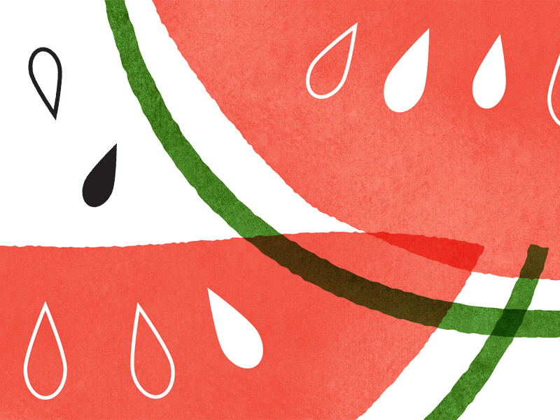 watermelon food illustration texture vector illustrator retro mid-century illustration