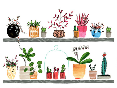 Pot Plants collection digitalart editorial gardening handdrawn illustration line illustration plants watercolor watercolour