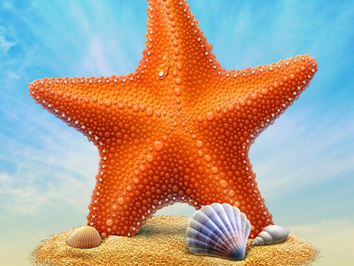 Starfish artua cisco icon illustration orange