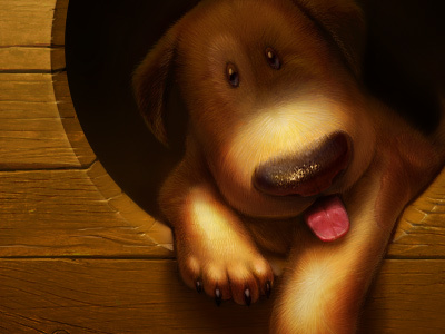 Bummer artua dog icon illustration puppy wallpaper