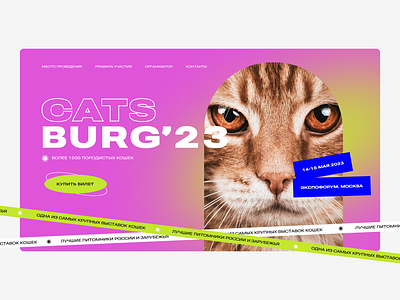 Cat Fest web concept cat concept design fest graphic design ui ux web webdesign website