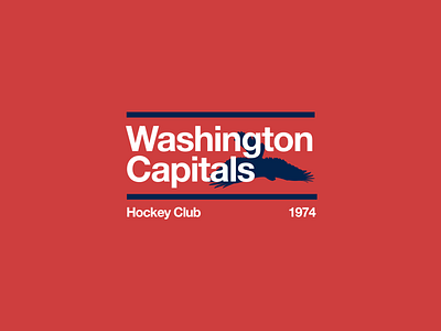 Washington Capitals capitals hockey nhl washington capitals washington dc