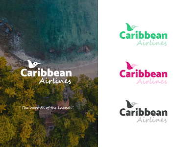 Caribbean Airlines Branding Concept branding design illustration logo