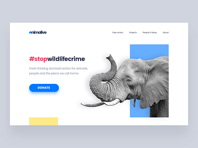 Save Wildlife animal design flat landing page minimalism platform ui ux website wildlife