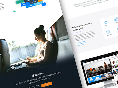 Wizdom Landingpage