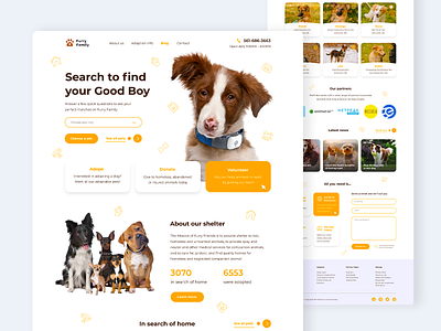 Dogs Shelter - Homepage