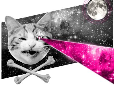 Laser Cat cat collage crownsocial laser redesign