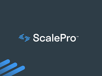 ScalePro Brand Identity blue brand brand design brand identity branding contemporary design logo logo design modern scale tech