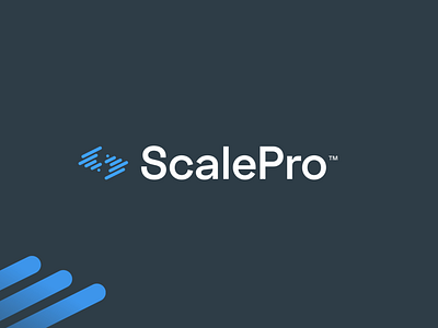 ScalePro Brand Identity