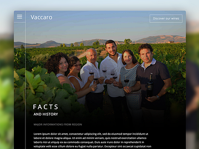 Sicily wine producer app design interface website wine