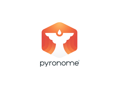 Pyronome Branding branding fire bird firebird logo phoenix pyronome