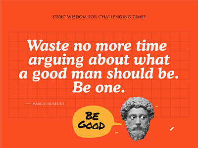 Stoic Wisdom 01 color design good illustration quote stoic strong well wisdom world