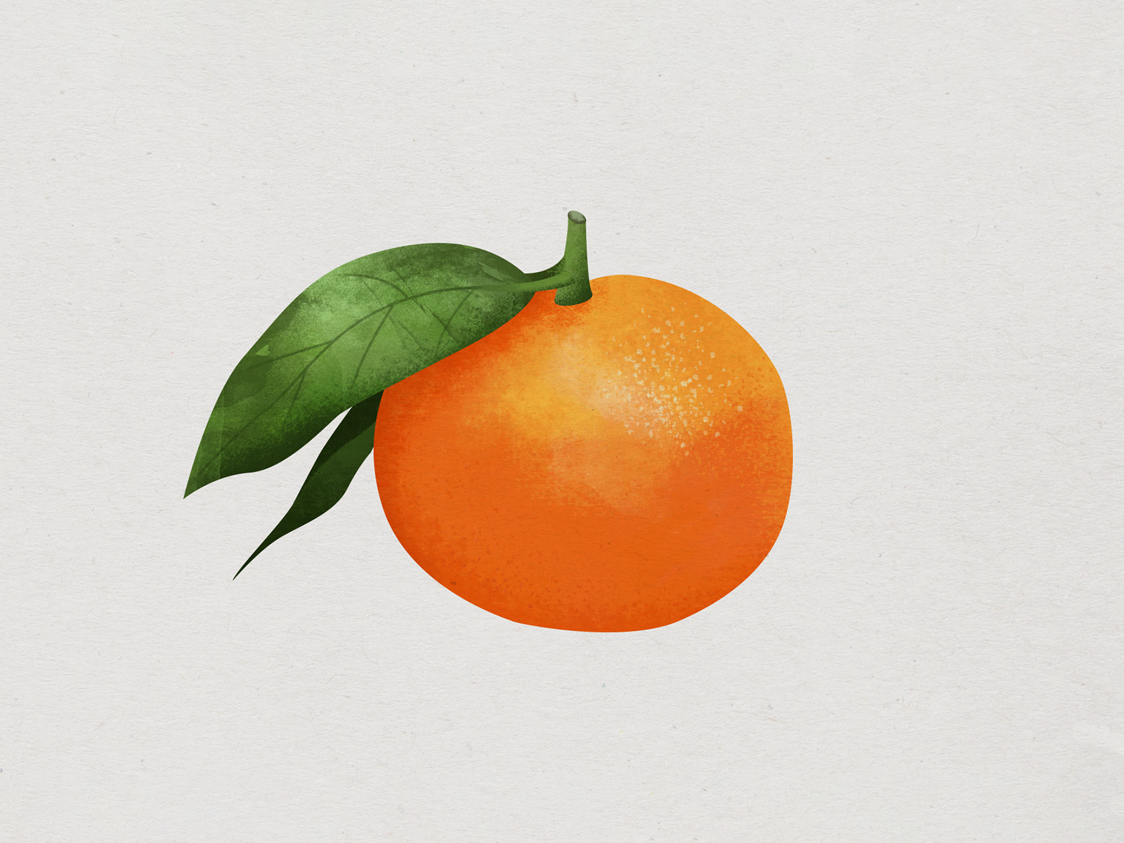 Mandarin by Alyona Mizina on Dribbble