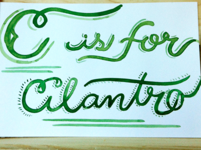 C is for Cilantro typography watercolor