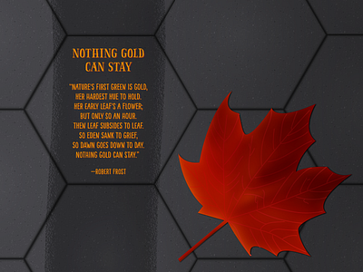 Nothing Gold Can Stay by Robert Frost adobe illustrator autumn fall illustration illustrator literature passion project poetry vector vector illustration
