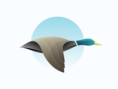 Duck Logo color duck logo flying duck gradient illustration modern