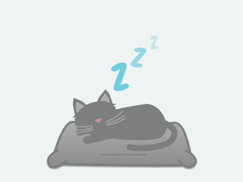 Let sleeping cats lie animation boarding cat gif illustration sleeping veterinarian