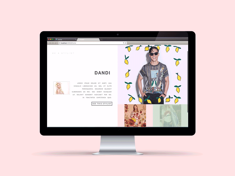 Fashion Stylist Website animation fashion html javascript