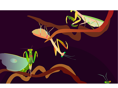 Mantis ants design gradient illustration mantis vector